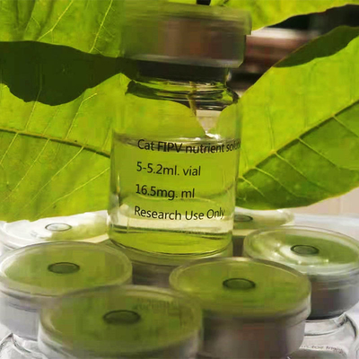 CAS 1191237-69-0 Cat FIP ​​নিরাময় 20mg/ML GS FIP চিকিত্সা